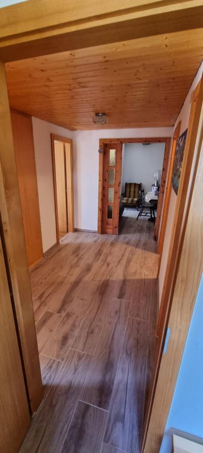 Le Panorama - Appartement 54 A Arolla Face Aux Montagnes A 150M Des Pistes Evolène Exterior foto