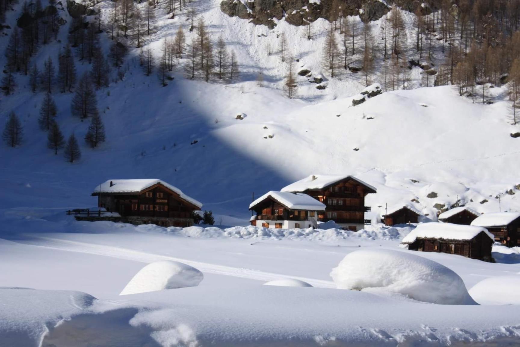 Le Panorama - Appartement 54 A Arolla Face Aux Montagnes A 150M Des Pistes Evolène Exterior foto